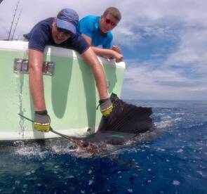 Quepos Report Photo 1