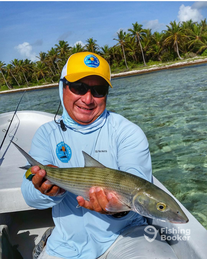 San Pedro Report Photo 0