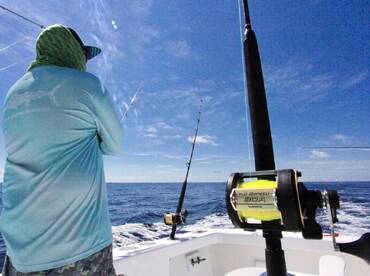 Quepos Report Photo 2