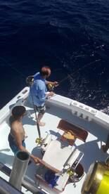 Quepos Report Photo 1