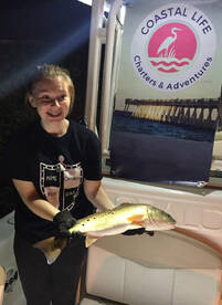 Navarre Report Photo 2