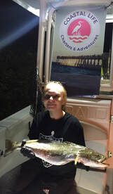 Navarre Report Photo 1