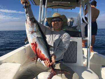 Sarasota Report Photo 2