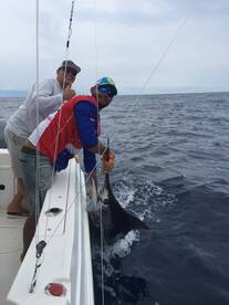 Herradura Report Photo 2