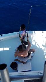 Quepos Report Photo 1