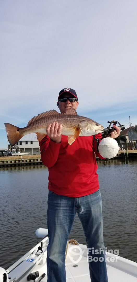 Port Sulphur Report Photo 0