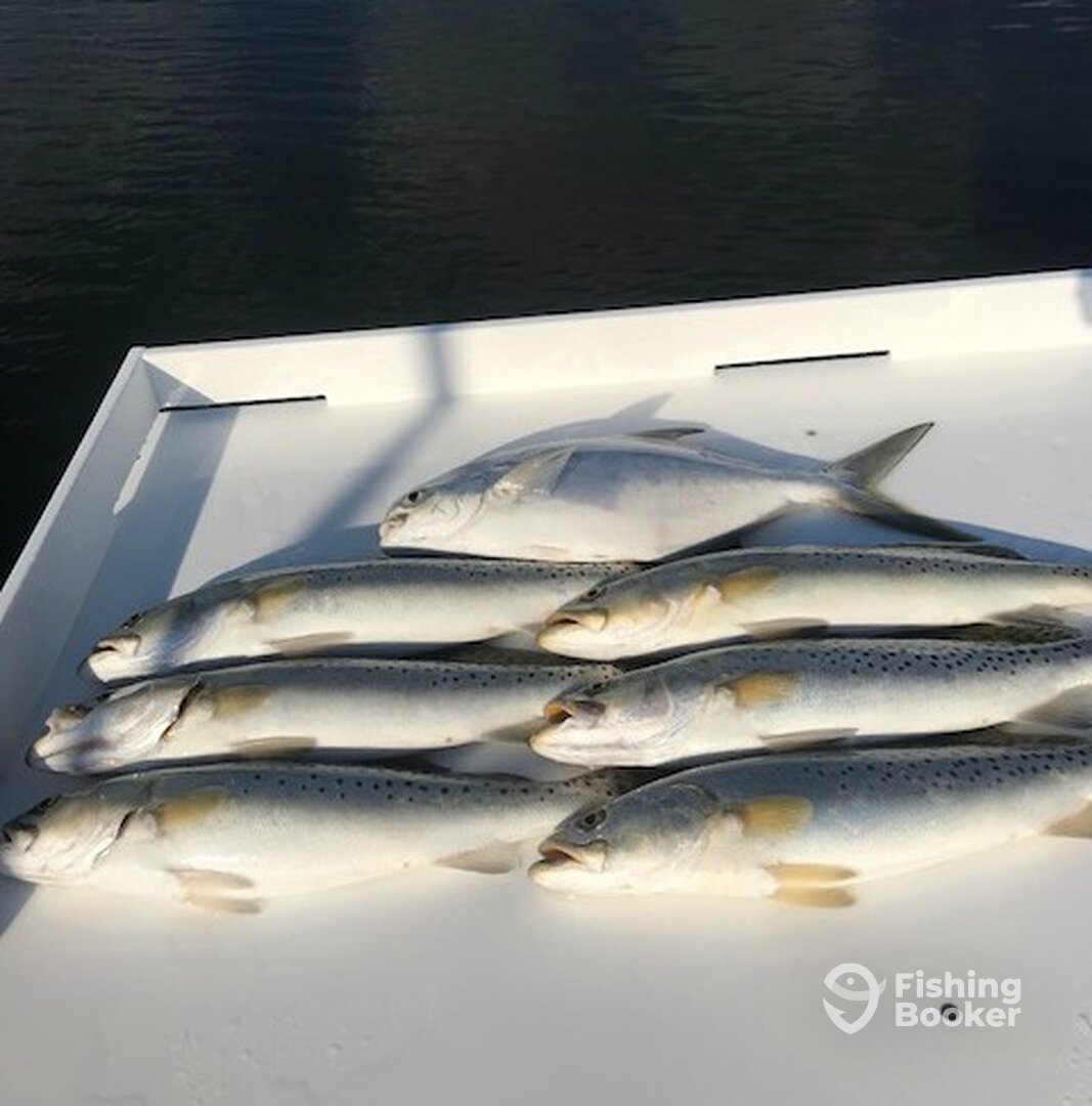 Bradenton Report Photo 0