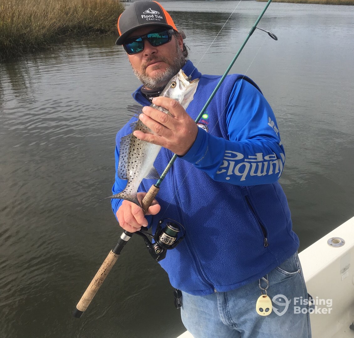 Mount Pleasant Report Photo 0