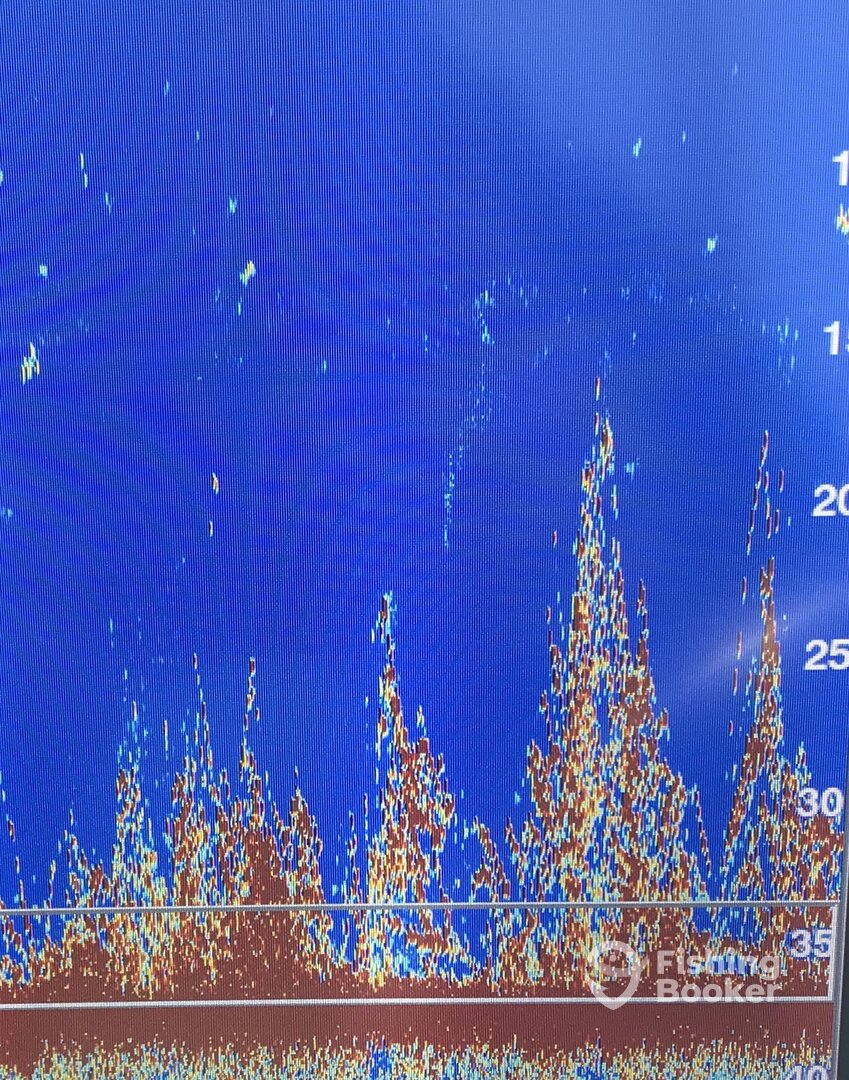 Holiday Report Photo 0