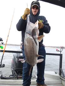 Wagoner Report Photo 2