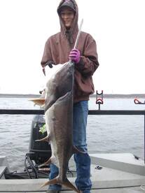 Saturday morning Spoonbill trip Ft Gibso