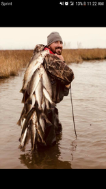 Lake Charles Report Photo 2