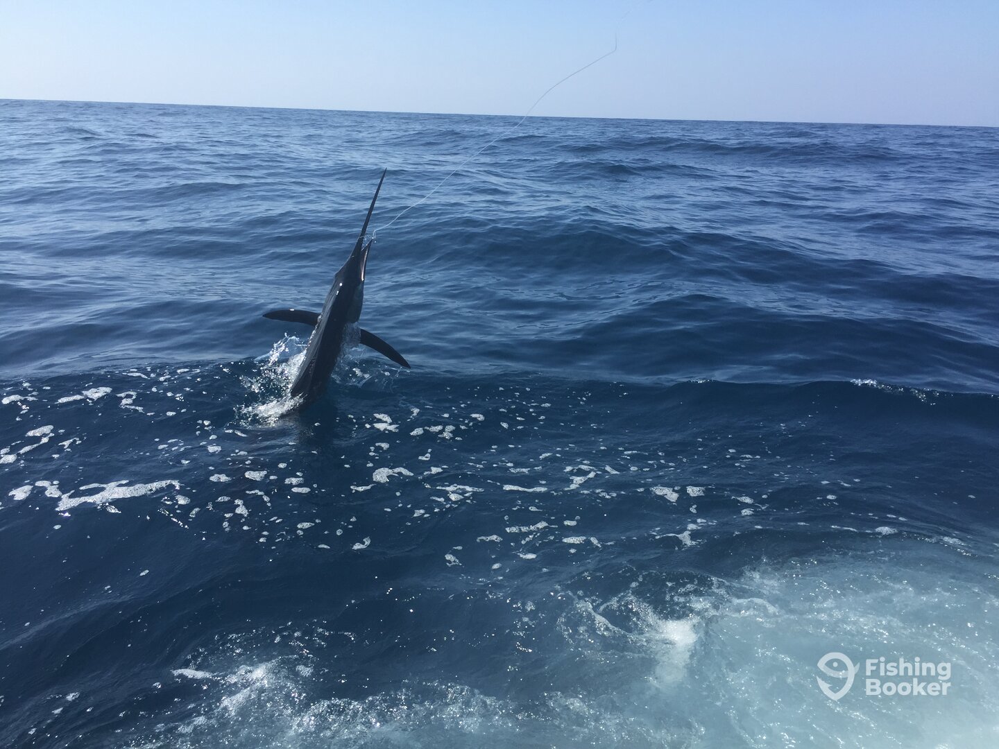 Iztapa Report Photo 0