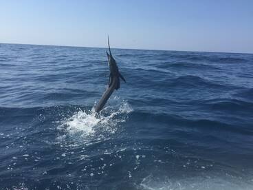 Iztapa Report Photo 2