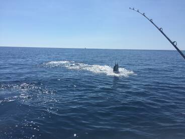 Iztapa Report Photo 2