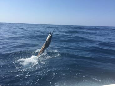 Iztapa Report Photo 1