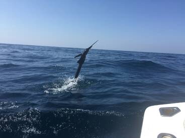 Iztapa Report Photo 2