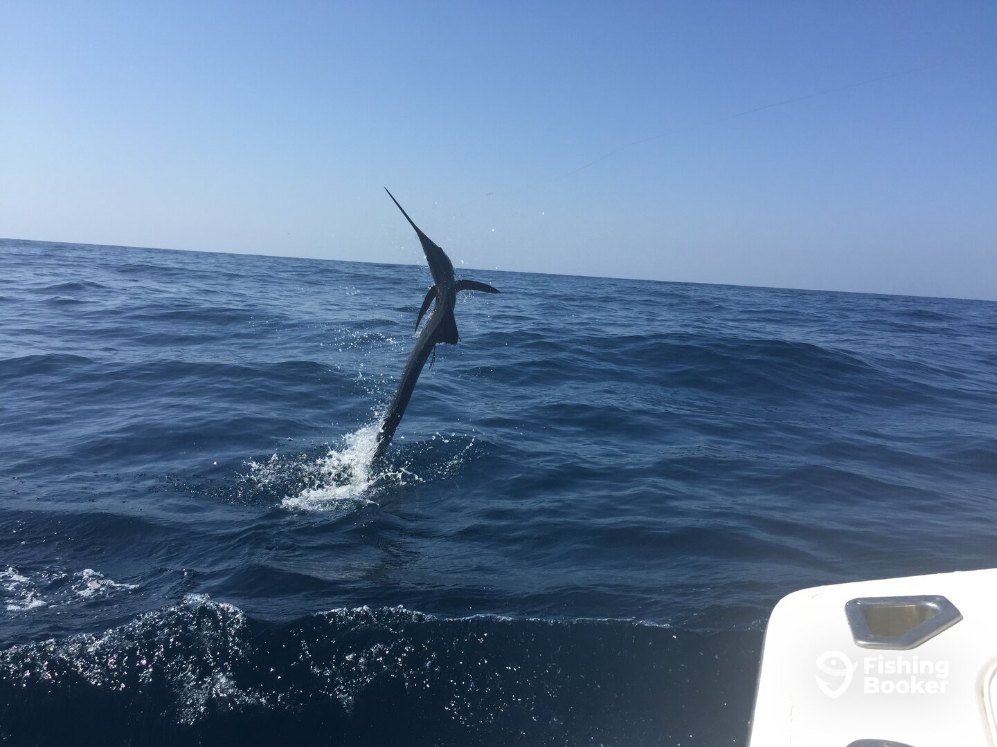 Iztapa Report Photo 0