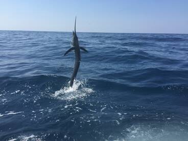 Iztapa Report Photo 2