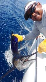 Quepos Report Photo 1