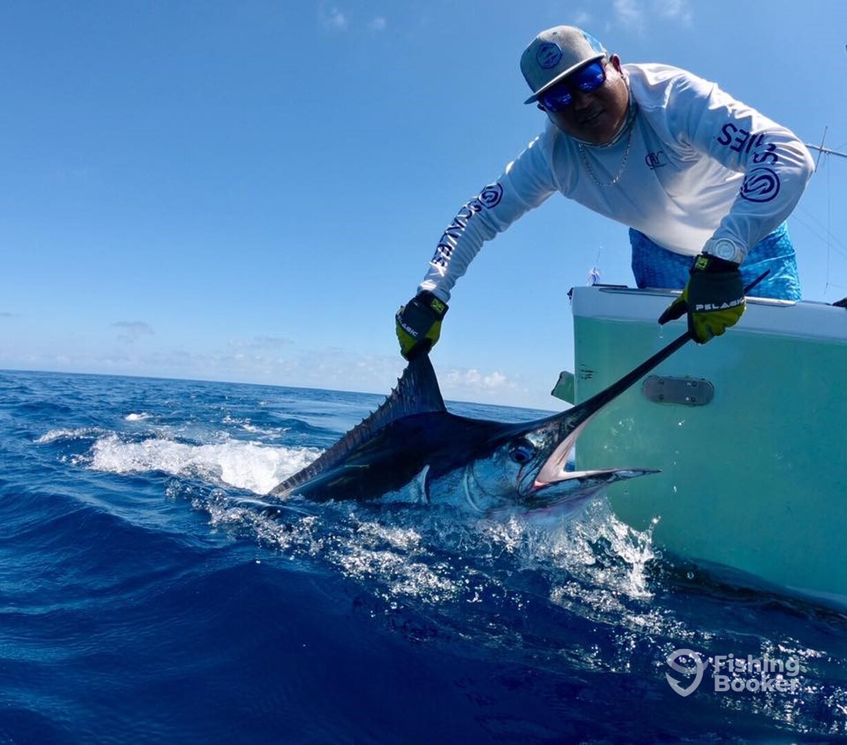 Quepos Report Photo 0