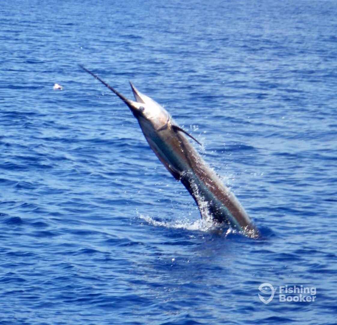 Quepos Report Photo 0