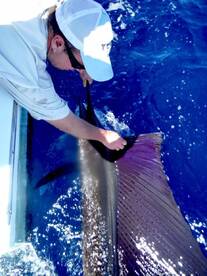 Quepos Report Photo 2