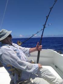 Blue marlin on 50 lbs line