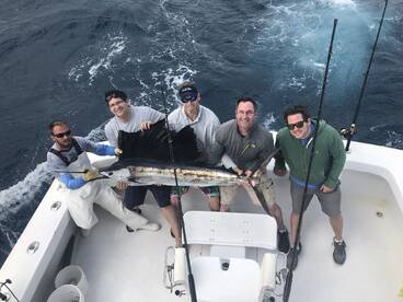 Sailfish Action Great Fishing 