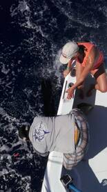 Quepos Report Photo 1