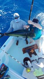 Quepos Report Photo 1