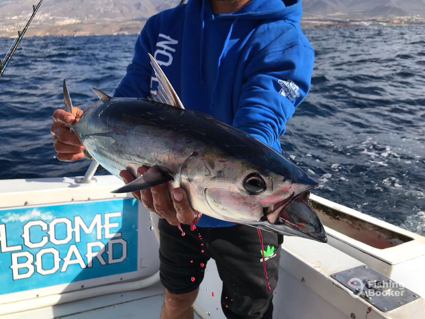 Costa Adeje Report Photo 0