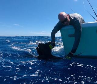 Quepos Report Photo 1