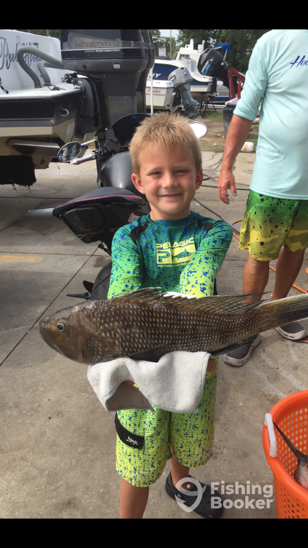 Murrells Inlet Report Photo 0