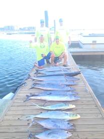 Murrells Inlet Report Photo 1