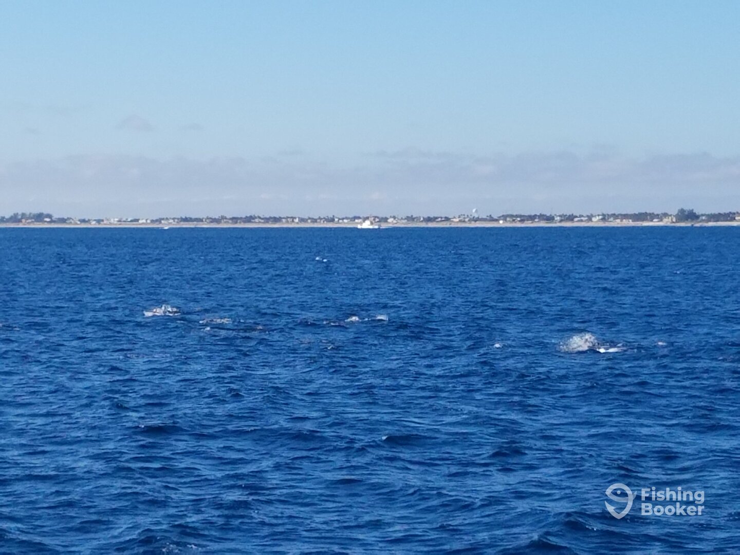 West Palm Beach Report Photo 0