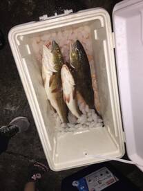 Jacksonville Report Photo 2