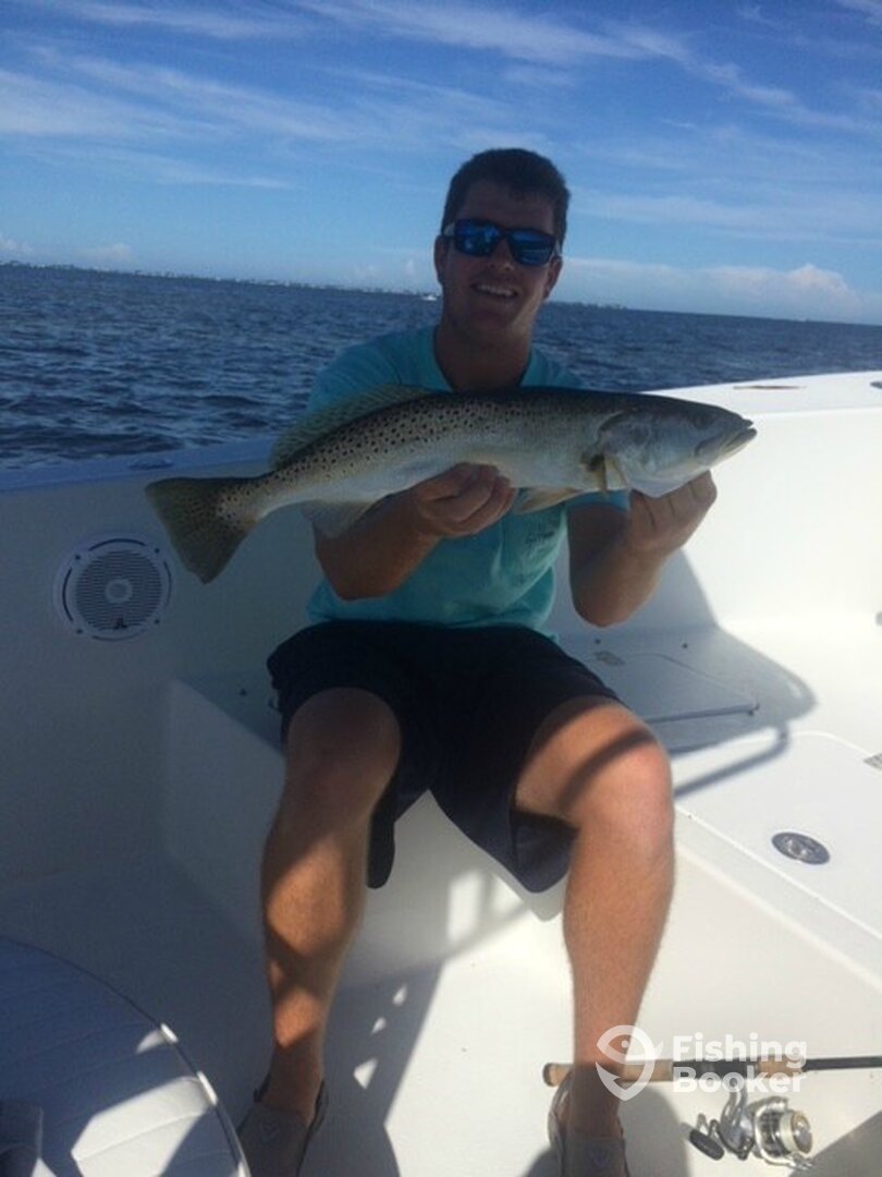 Bradenton Report Photo 0