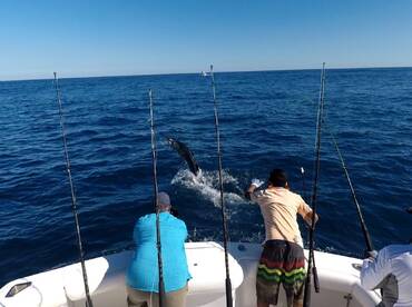 another day in the water aboard Makina !