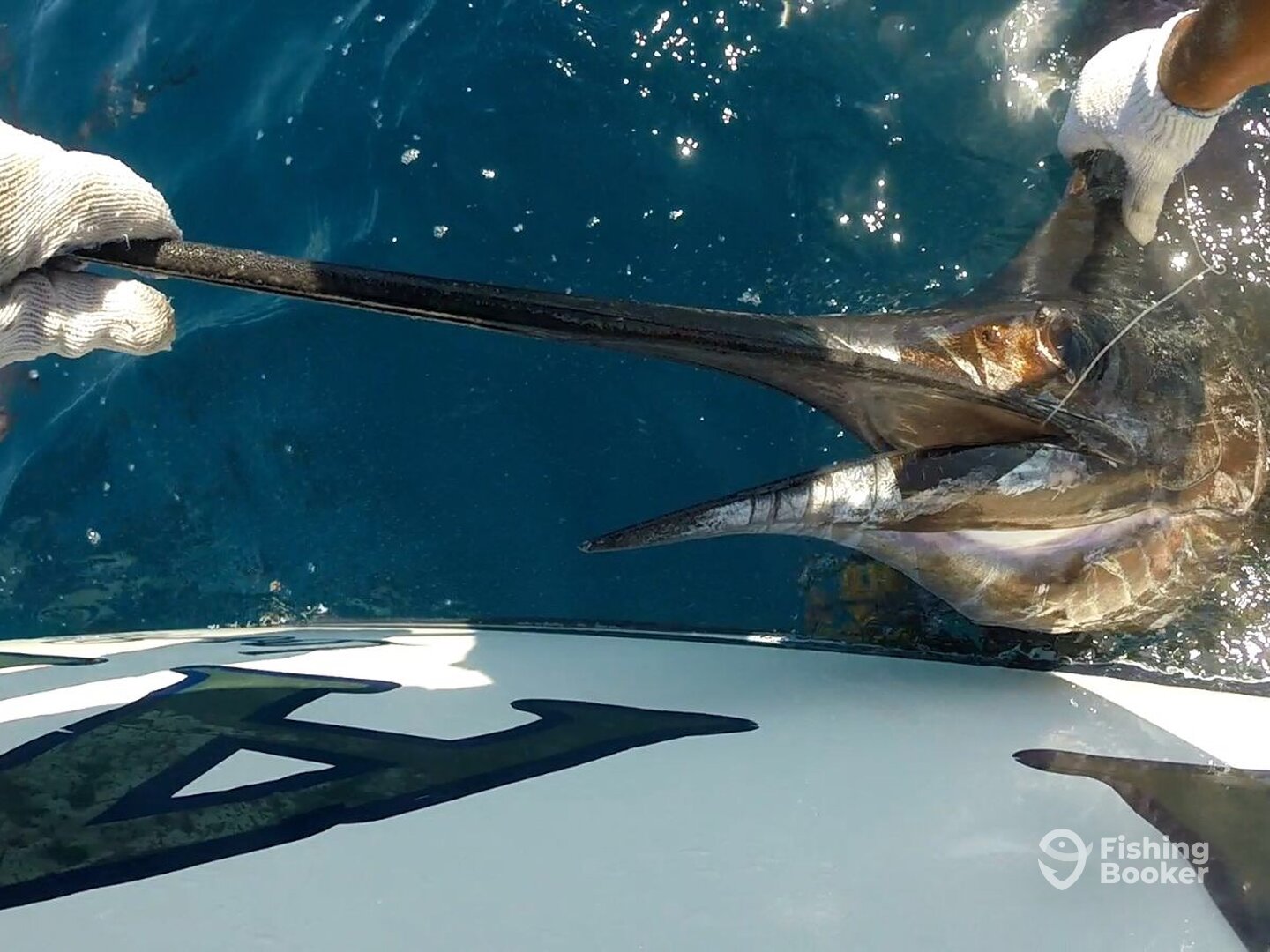 Iztapa Report Photo 0