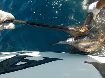 still great bite only 8 miles from the M