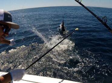 Iztapa Report Photo 1