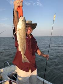 Galveston Report Photo 1