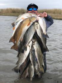 Trout bite is picking up!!