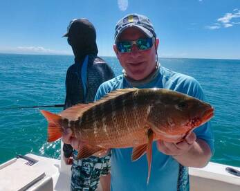 Quepos Report Photo 1