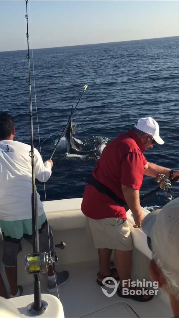 Iztapa Report Photo 0