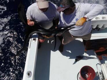 Quepos Report Photo 2