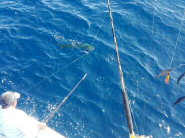 Quepos Report Photo 1