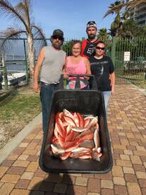 Orange Beach Report Photo 2