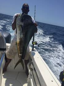 Herradura Report Photo 1